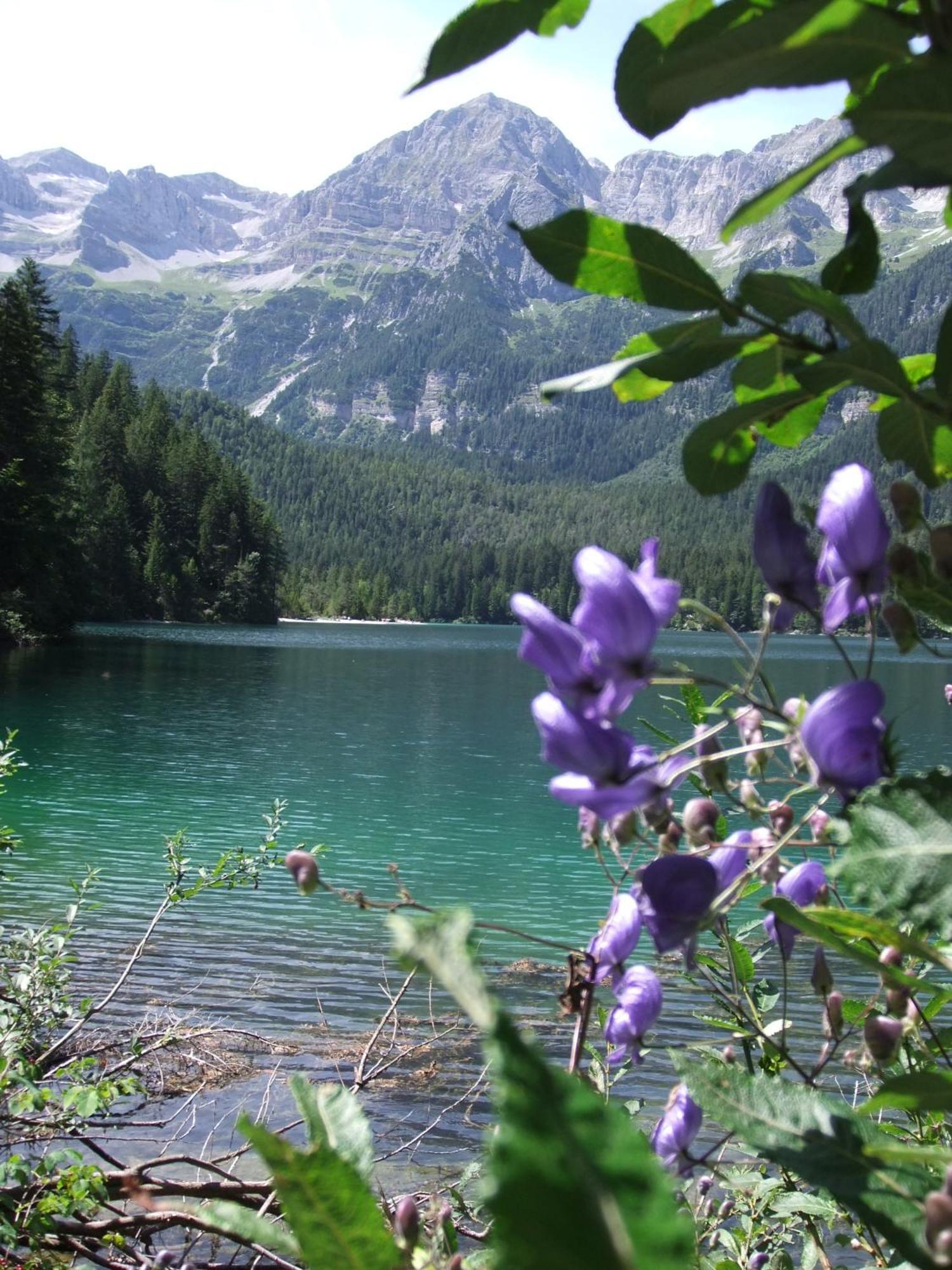 Active Hotel Monte Giner Медзана Экстерьер фото